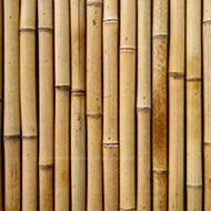 Bambus Camping Markisen